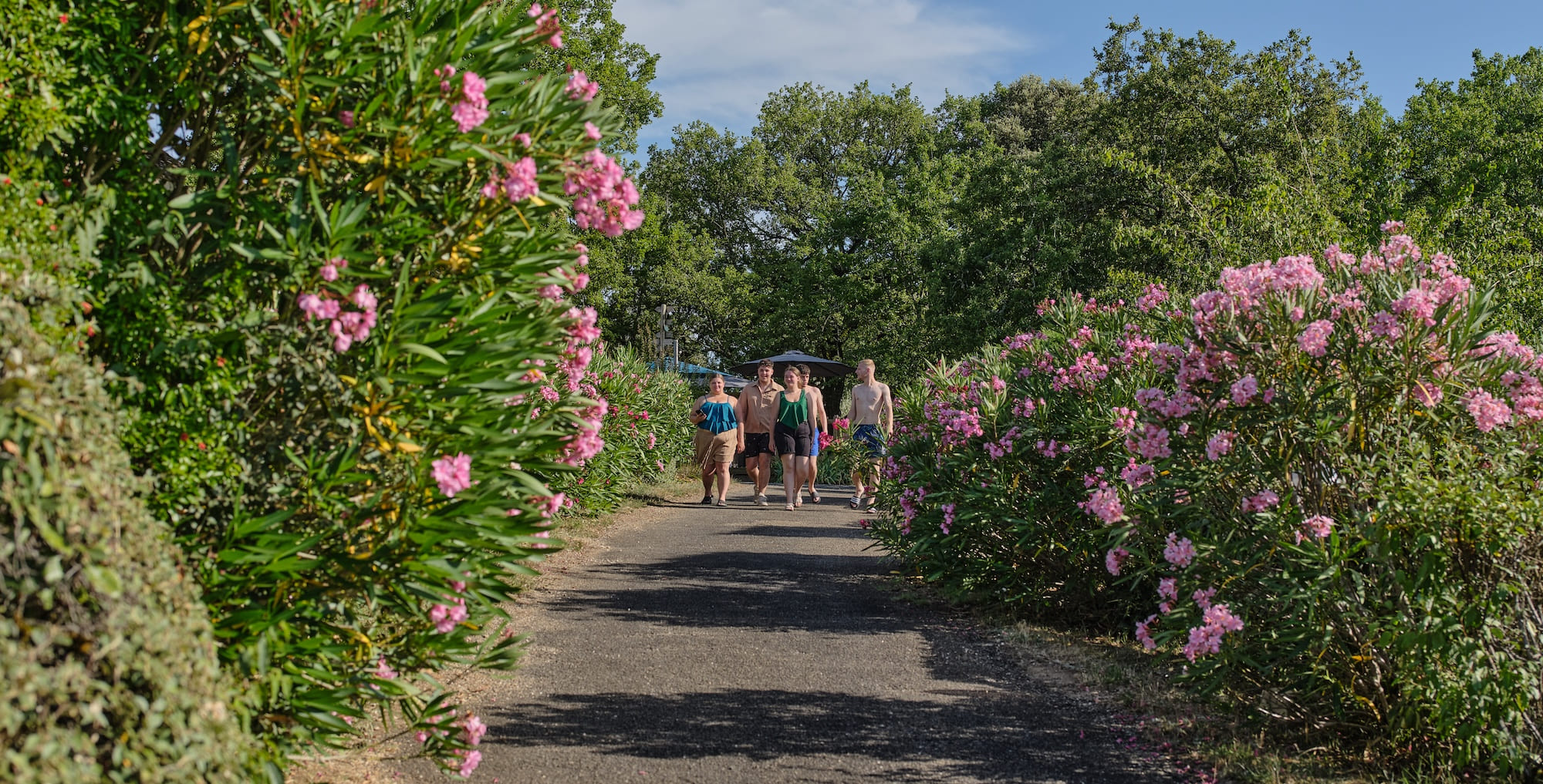 camping le daguet fleurs allées groupe