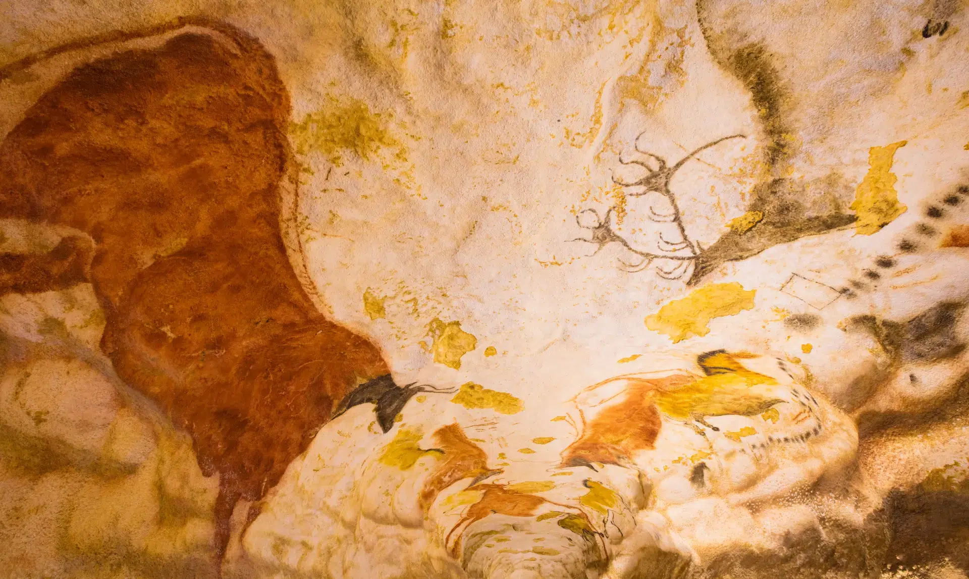 la grotte de lascaux