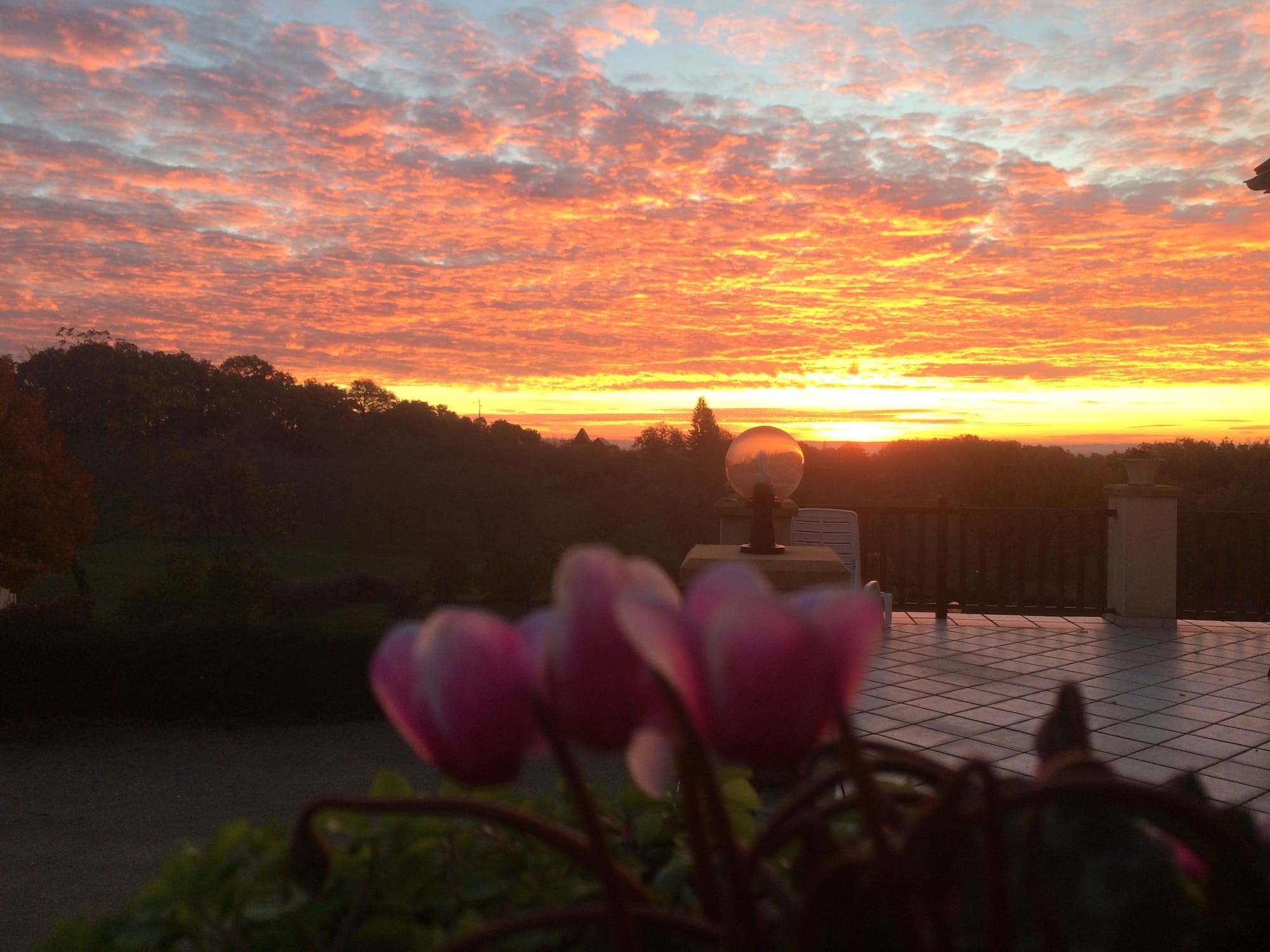 camping le daguet sunset dordogne flowers